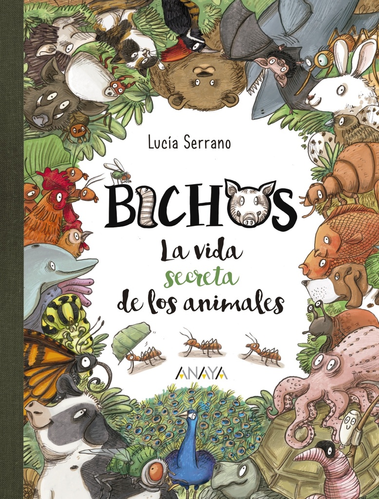 Bichos