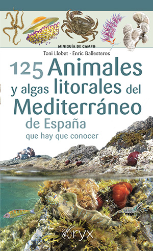 Arcoíris de animales