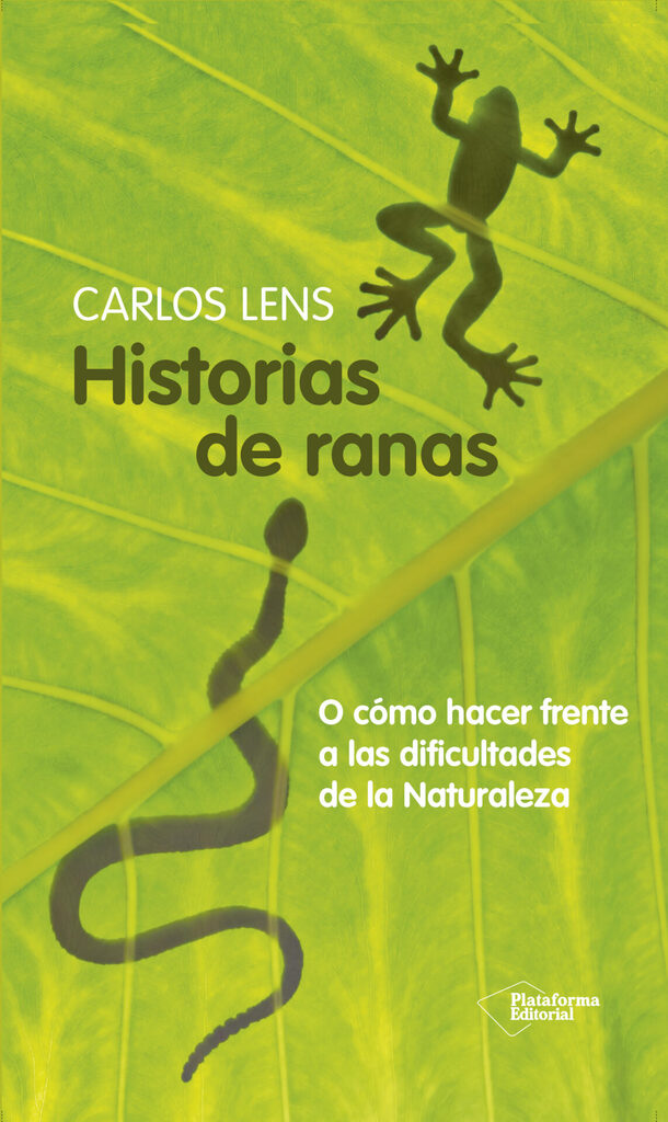 Tocados