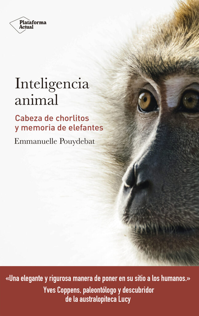La història de la ciència com mai te l'han explicat