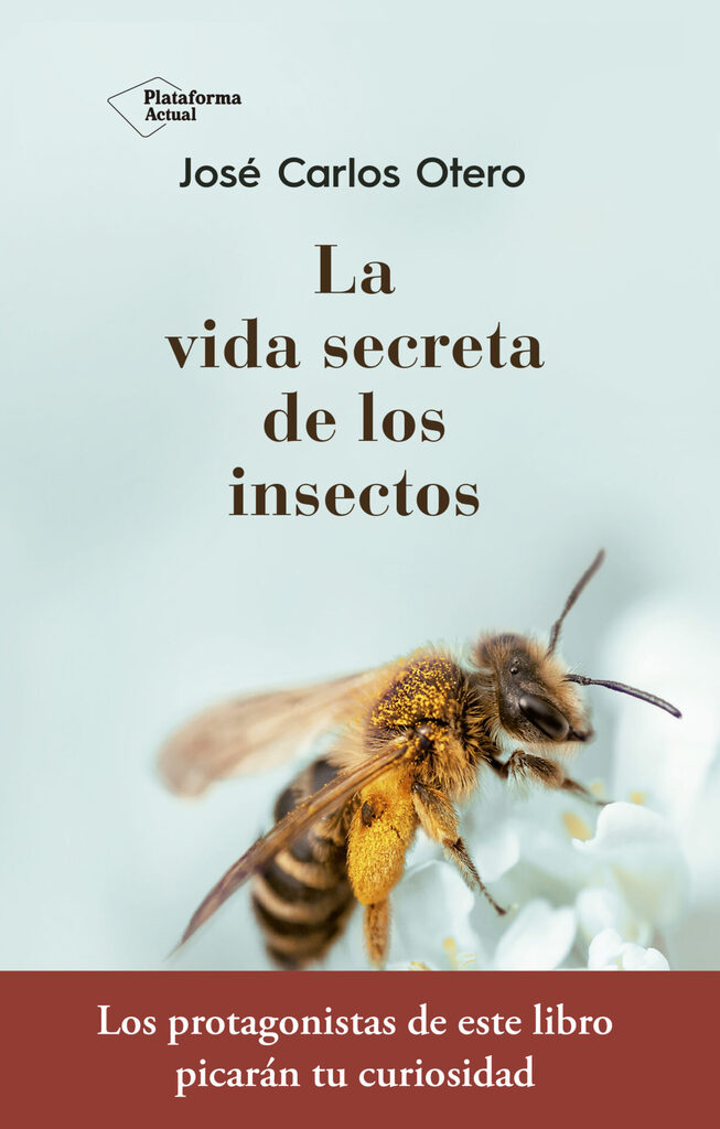 La química es la cuestión