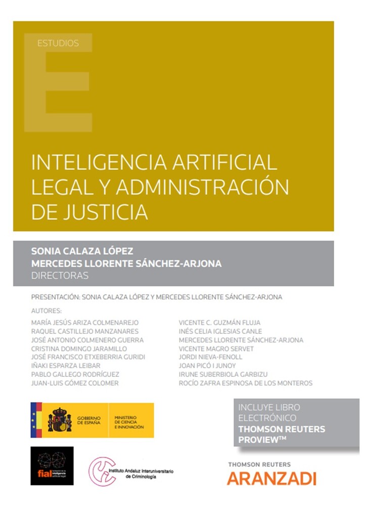 Los límites en la práctica de los registros electrónicos (Papel + e-book)