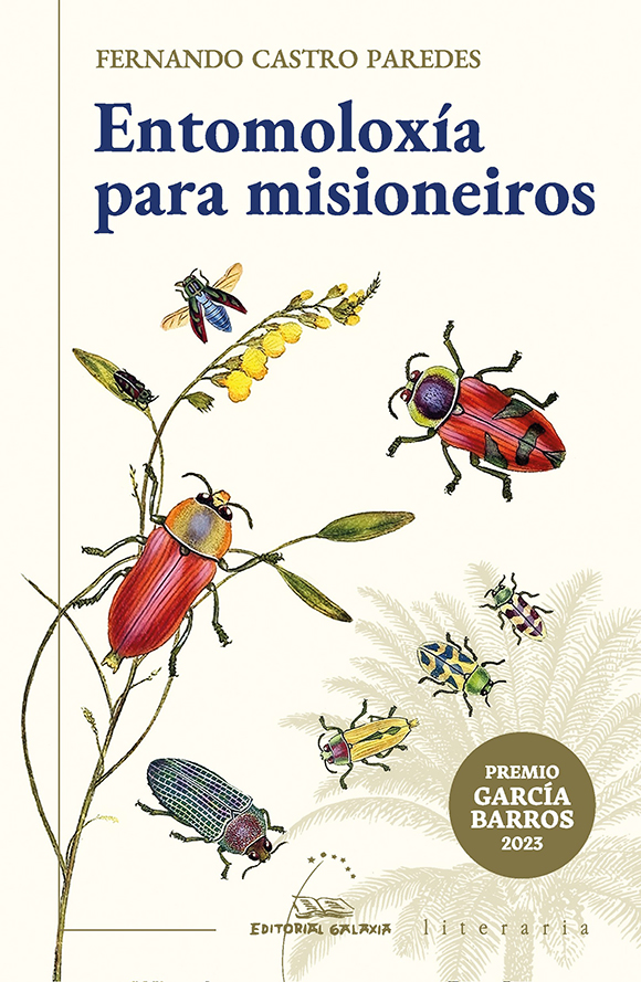 O paso en falso