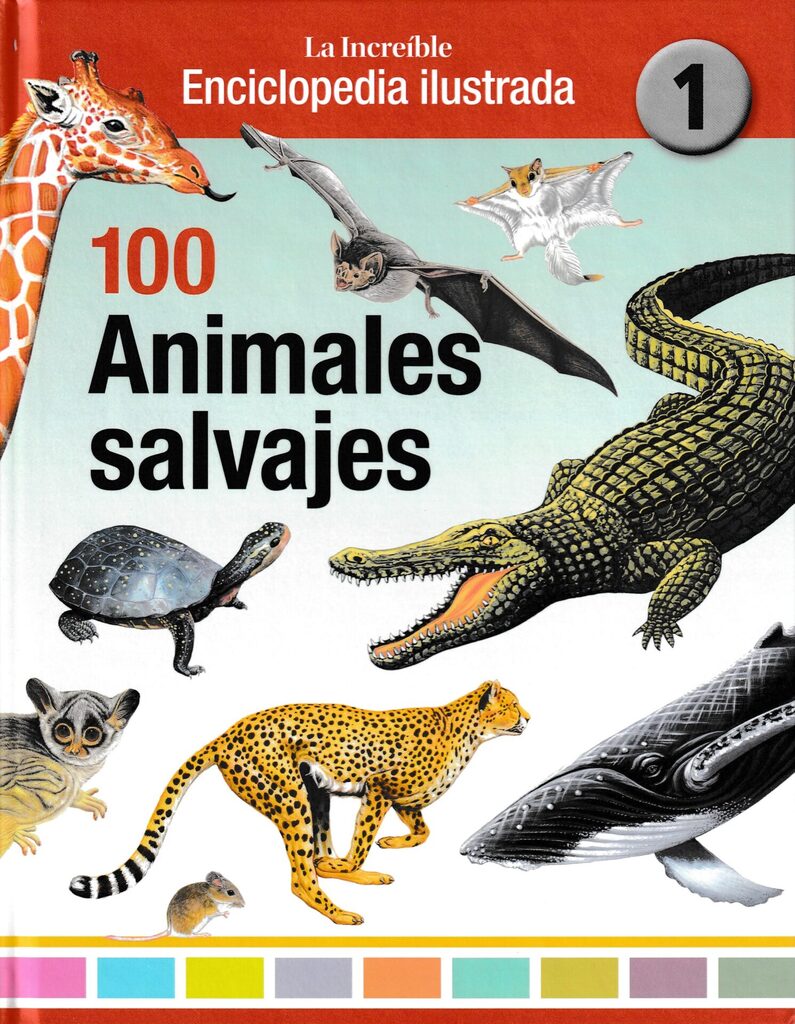 GLOSARIO DE TÉRMINOS BUDISTAS