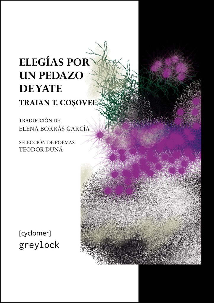 Ruido de ángeles