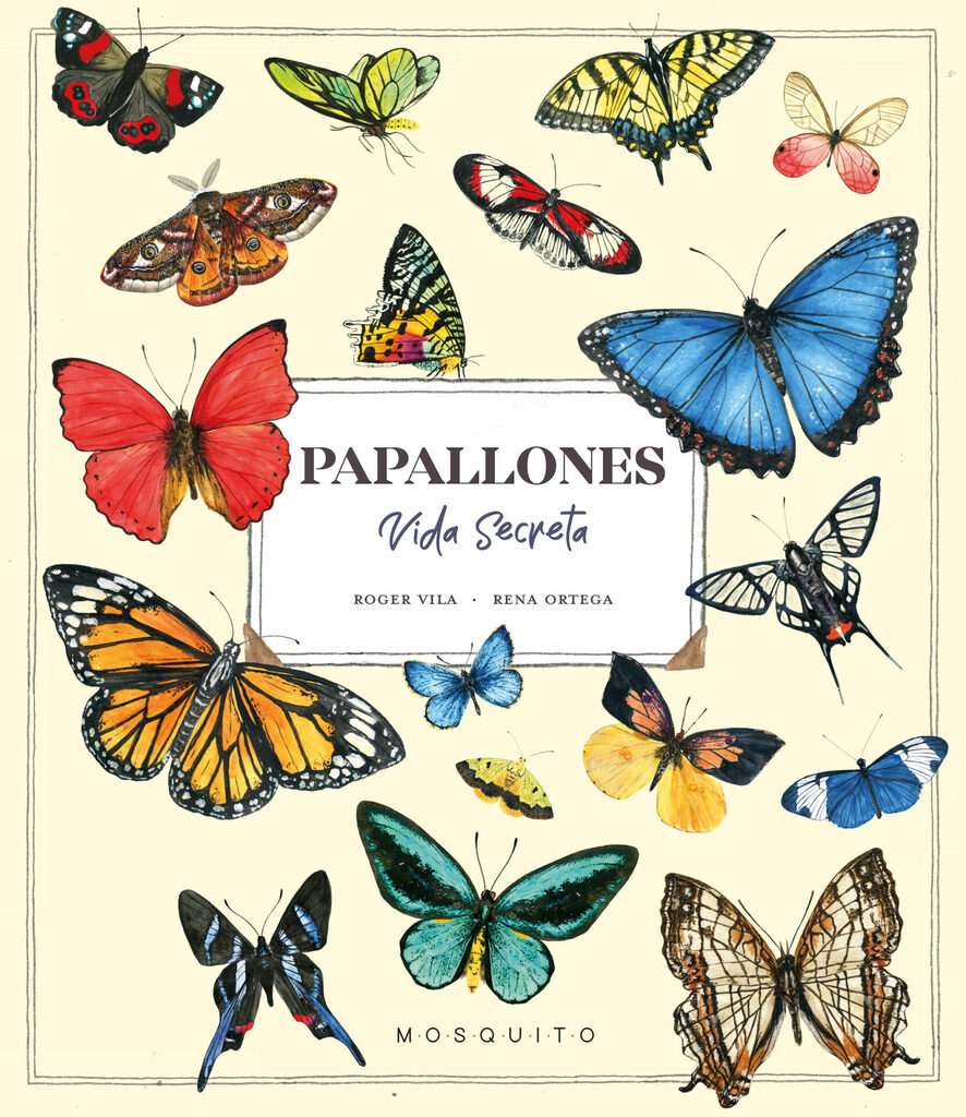 Papallones. Vida Secreta