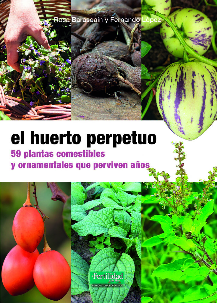 Cultivar setas de forma sencilla