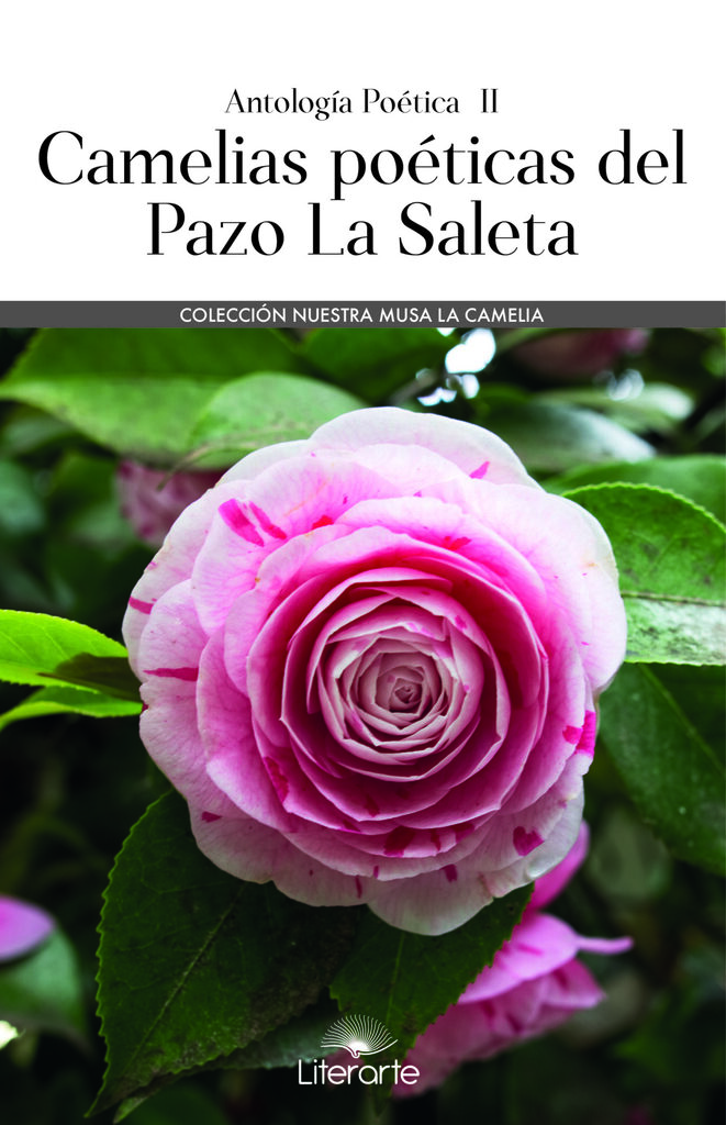 Libre corazón de hielo