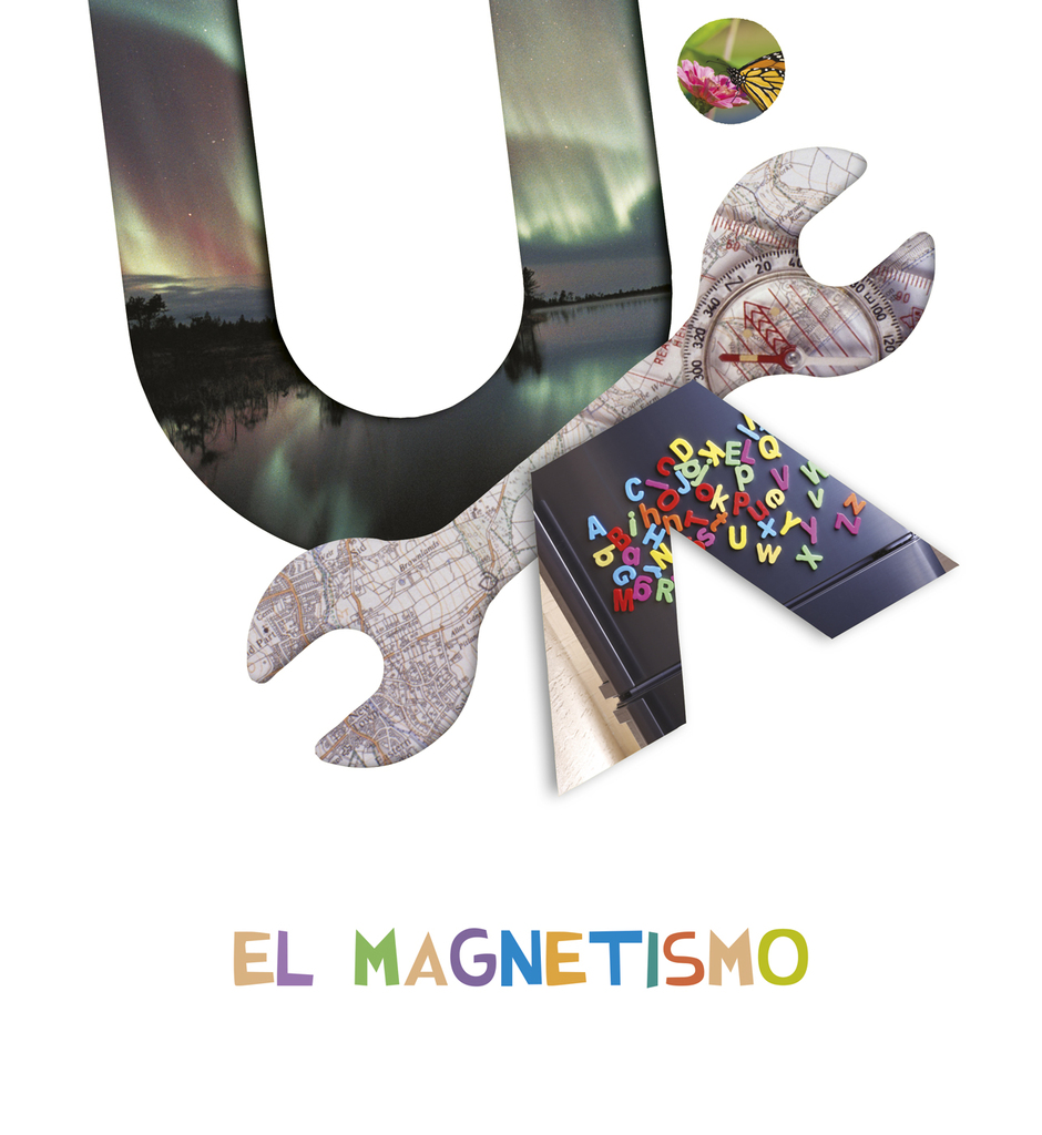 Proyecto ¿Lo ves? - 4 años : Magnetismo