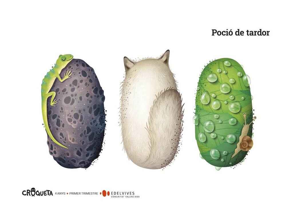 Projecte Croqueta - 4 anys : Segon trimestre