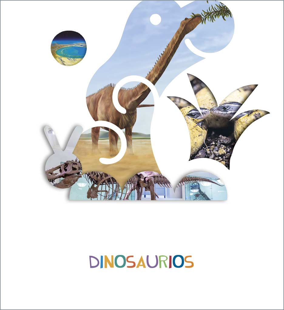 Proyecto ¿Lo ves? - 3 años : Ecología