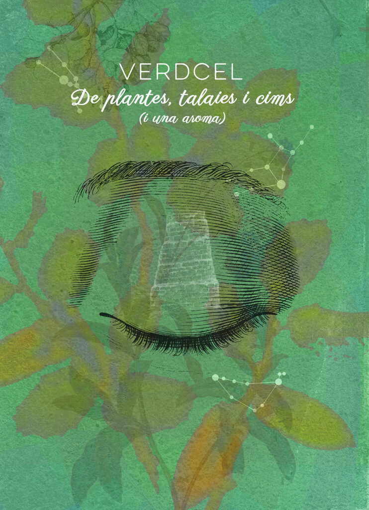 Totes les meues dones