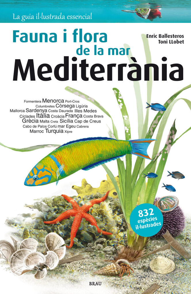 Fauna i flora de la mar Mediterrània Fauna i flora de la mar Mediterrània