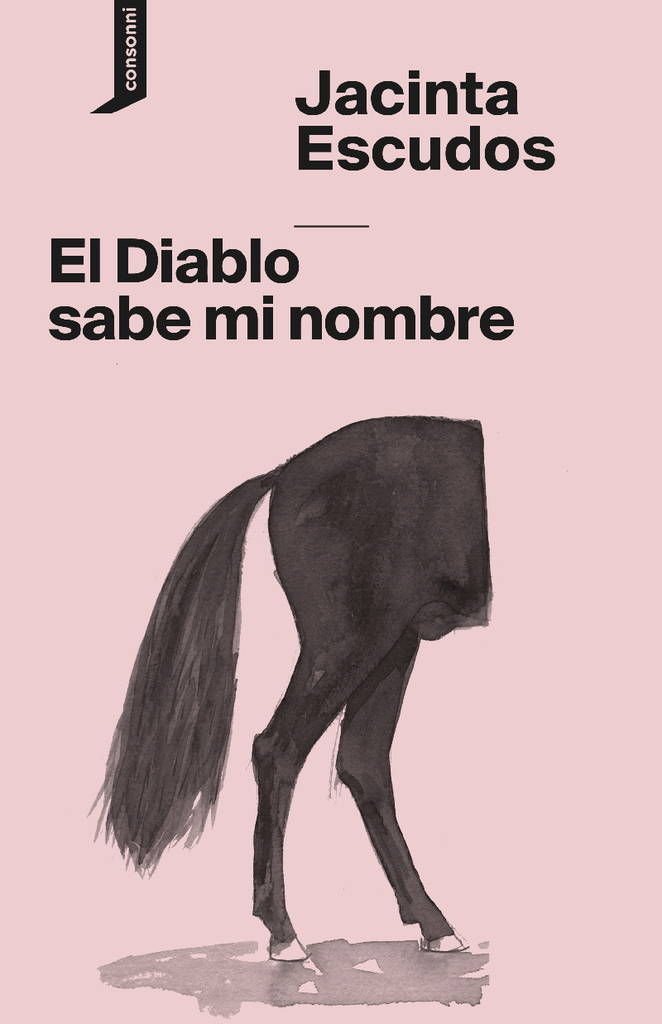 Crítica visual del saber solitario