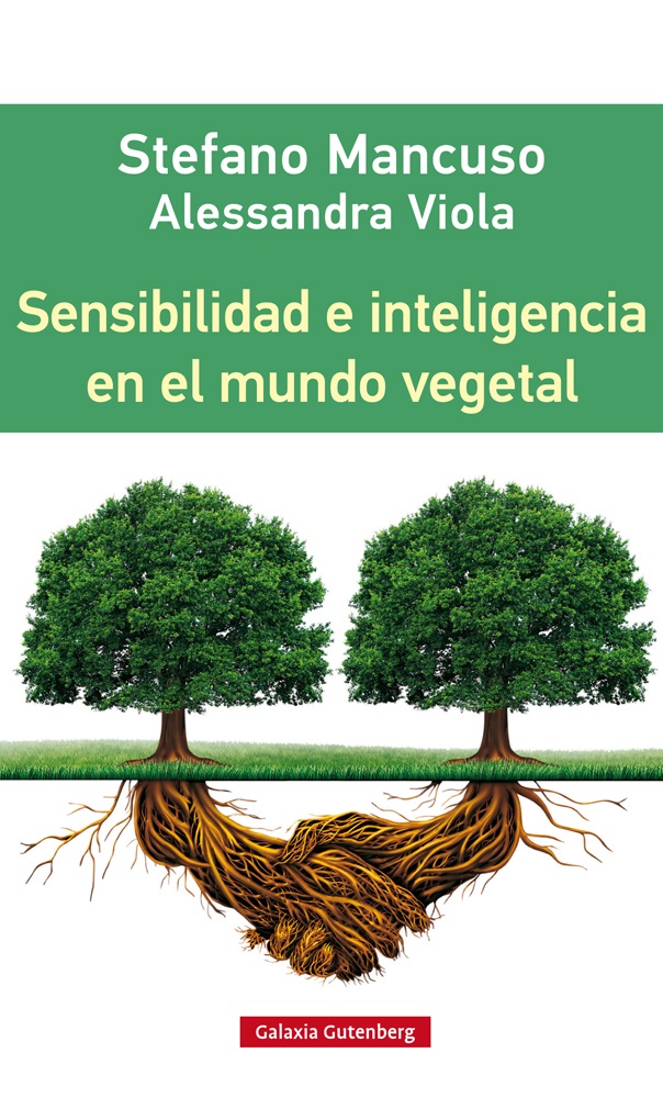 Les plantes medicinals de la Ratafia