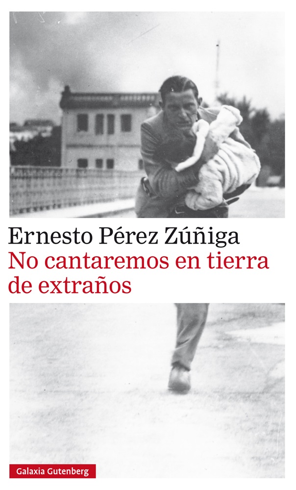 El meu gat Autícko