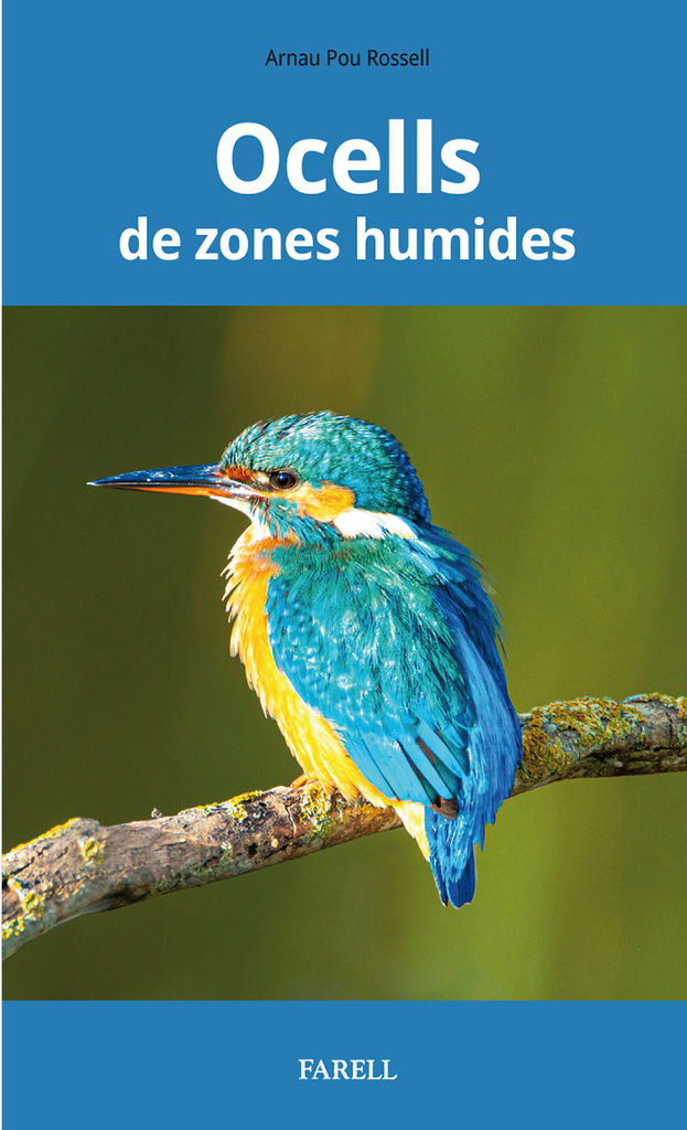 Ocells de zones humides