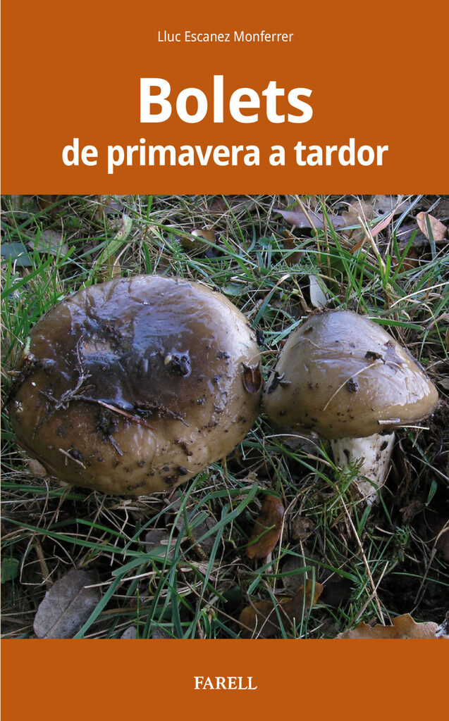Guia pràctica de bolets