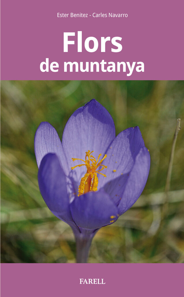 Flors de muntanya