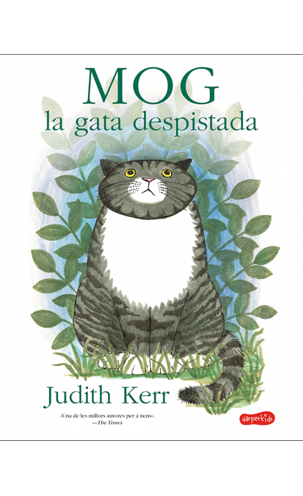 Mog, la gata despistada