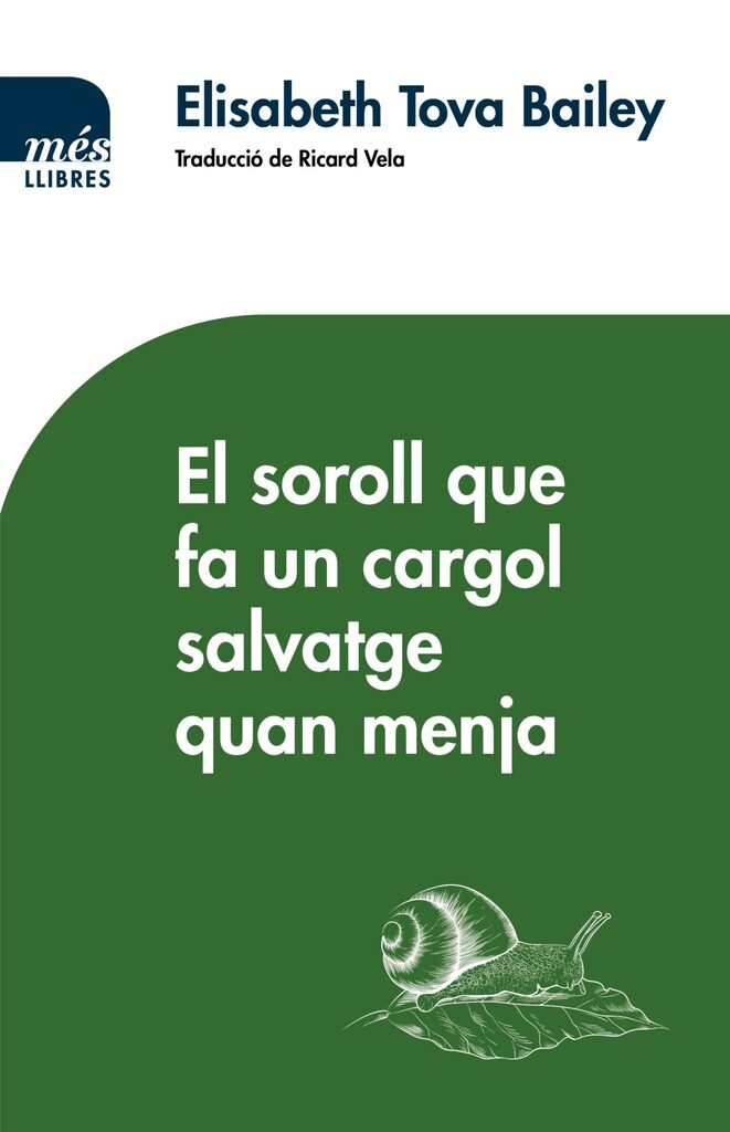 Qui va matar el meu pare