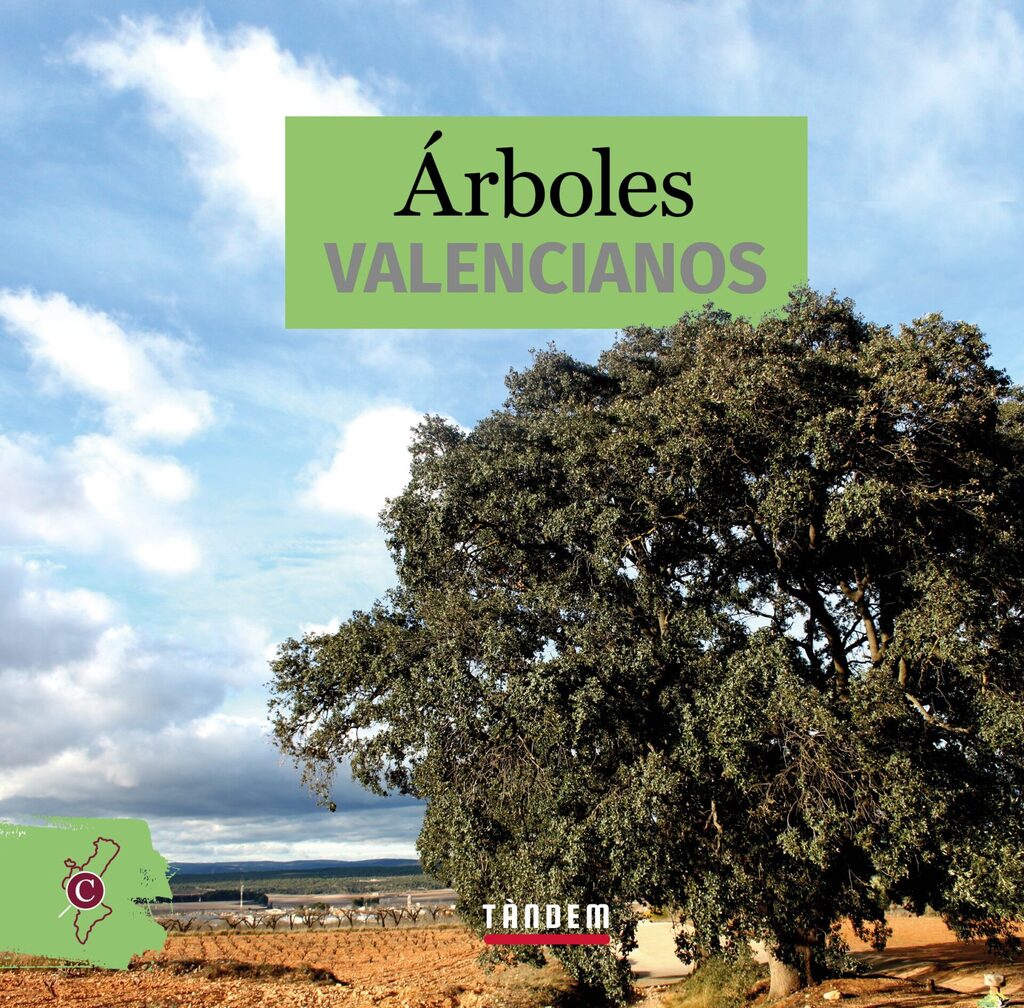Els animals del bosc