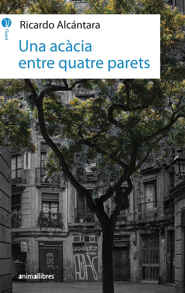 Una acàcia entre quatre parets