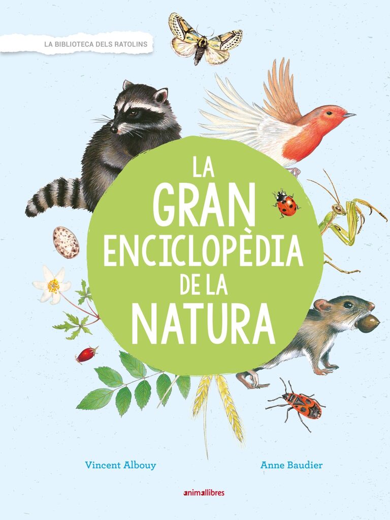 Què em contes, Caputxeta?