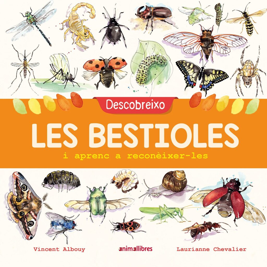 Descobreixo les bestioles i aprenc a reconèixer-les