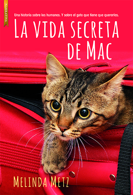 De vuelta al hogar
