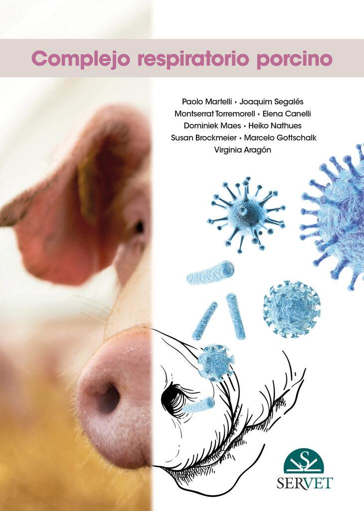 Colostrum Feeding in Piglets