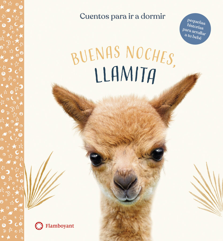 Mercats, un món per descobrir