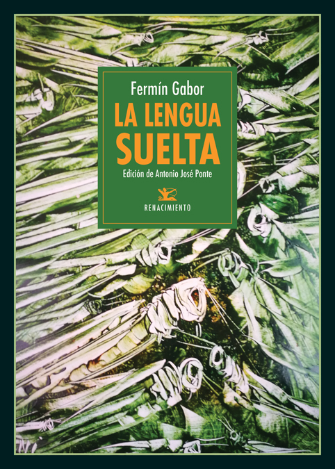 La forja de una feminista