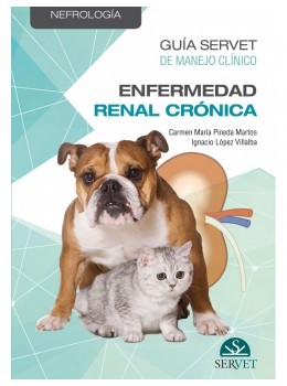Buscando el éxito en la consulta de dermatología: Manual práctico de pruebas diagnósticas