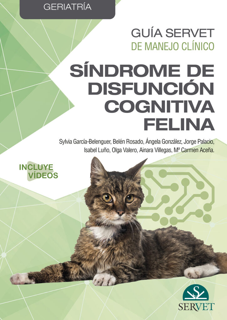 Key Concepts in Senior Dog Care