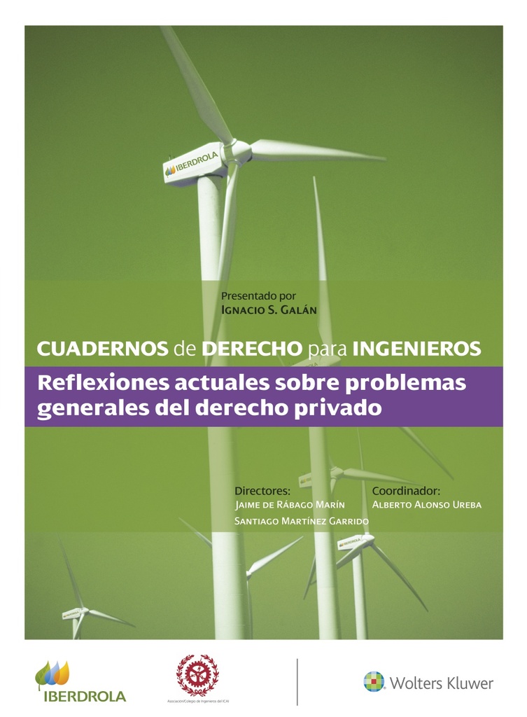 Cuadernos de Derecho para Ingenieros (n.º 52)
