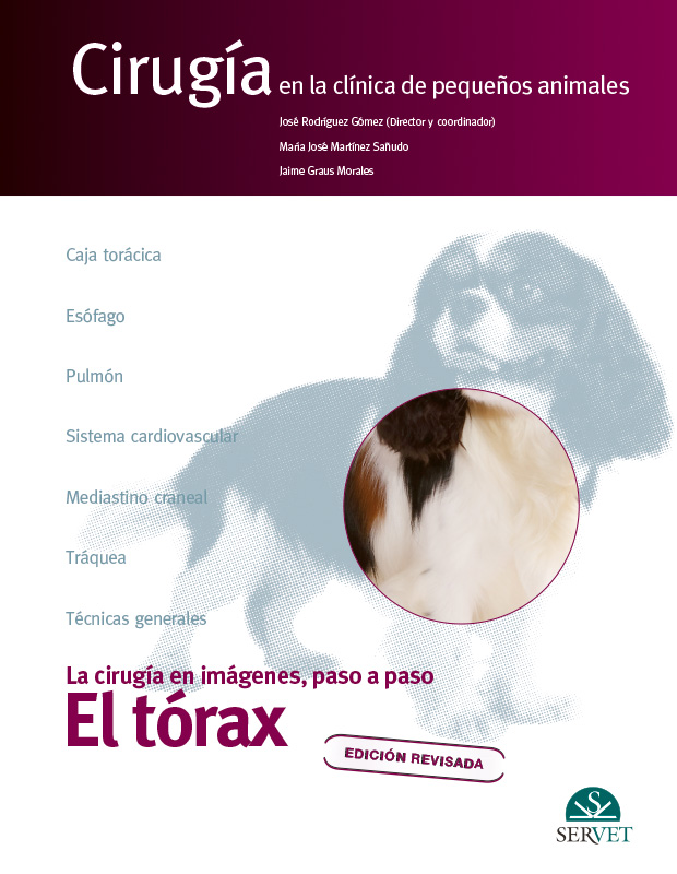 Cirugía en la clínica de pequeños animales. El tórax