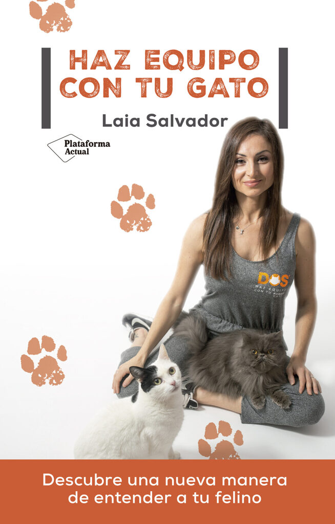 Haz equipo con tu gato Haz equipo con tu gato