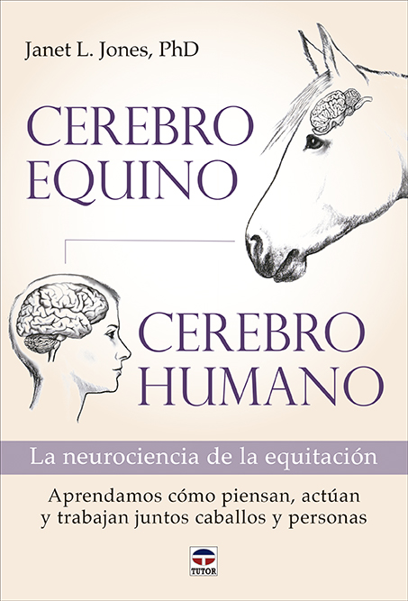 55 ejercicios correctivos para caballos