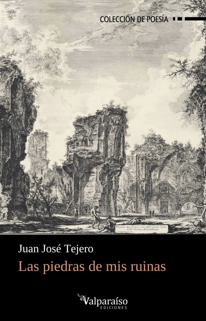 Las piedras de mis ruinas