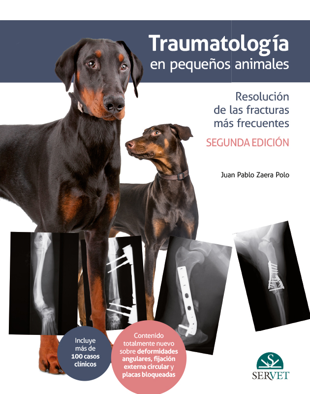 Ítaca