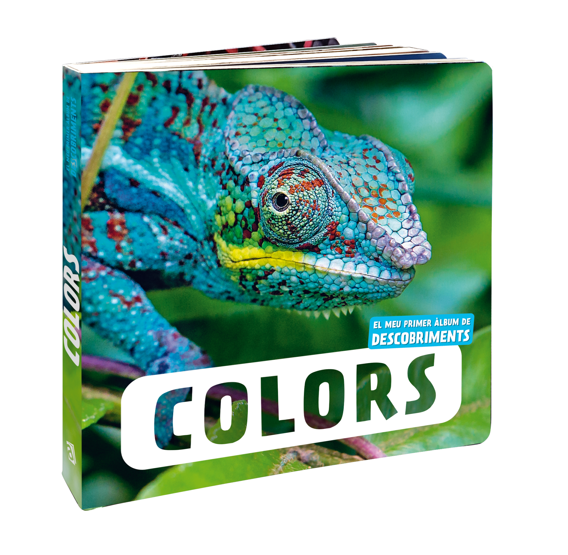 Colors