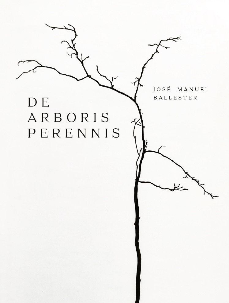 The pencil of nature