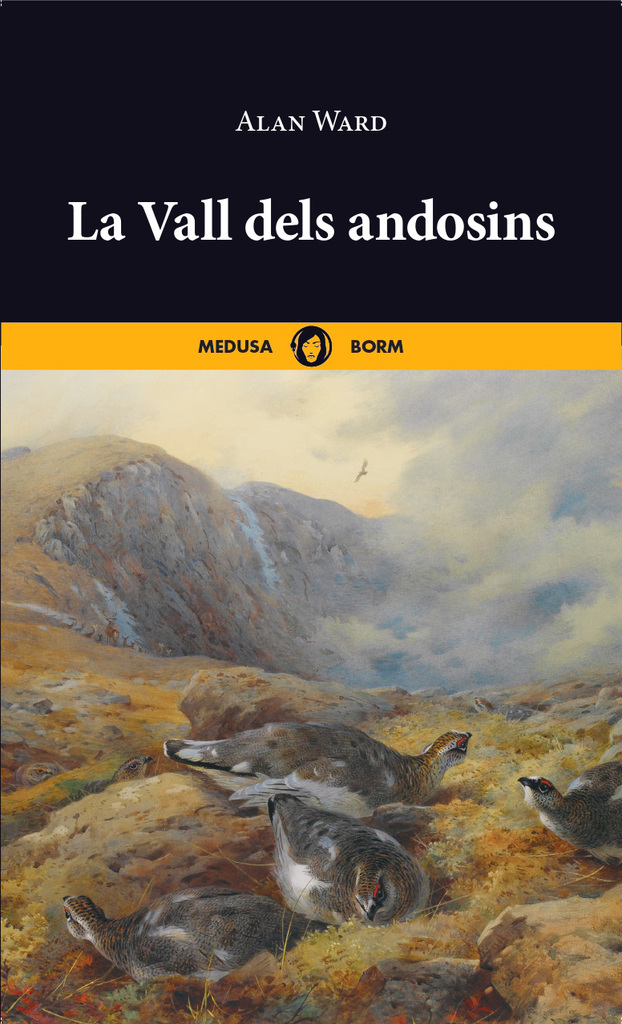 Pàl·lid Plató