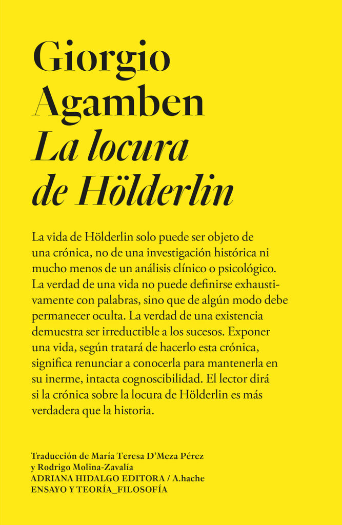 La locura de Hölderlin La locura de Hölderlin