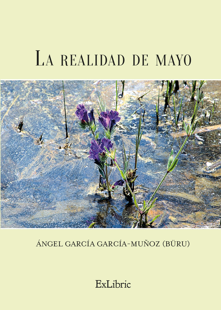 Bienio y medio