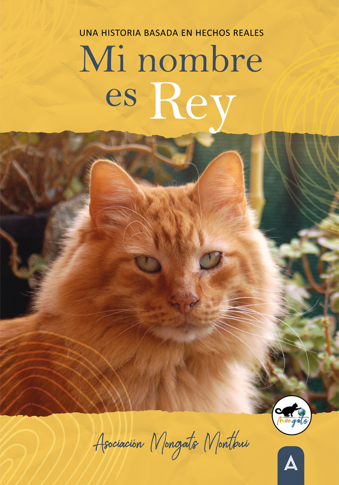 Bienvenido, gatito