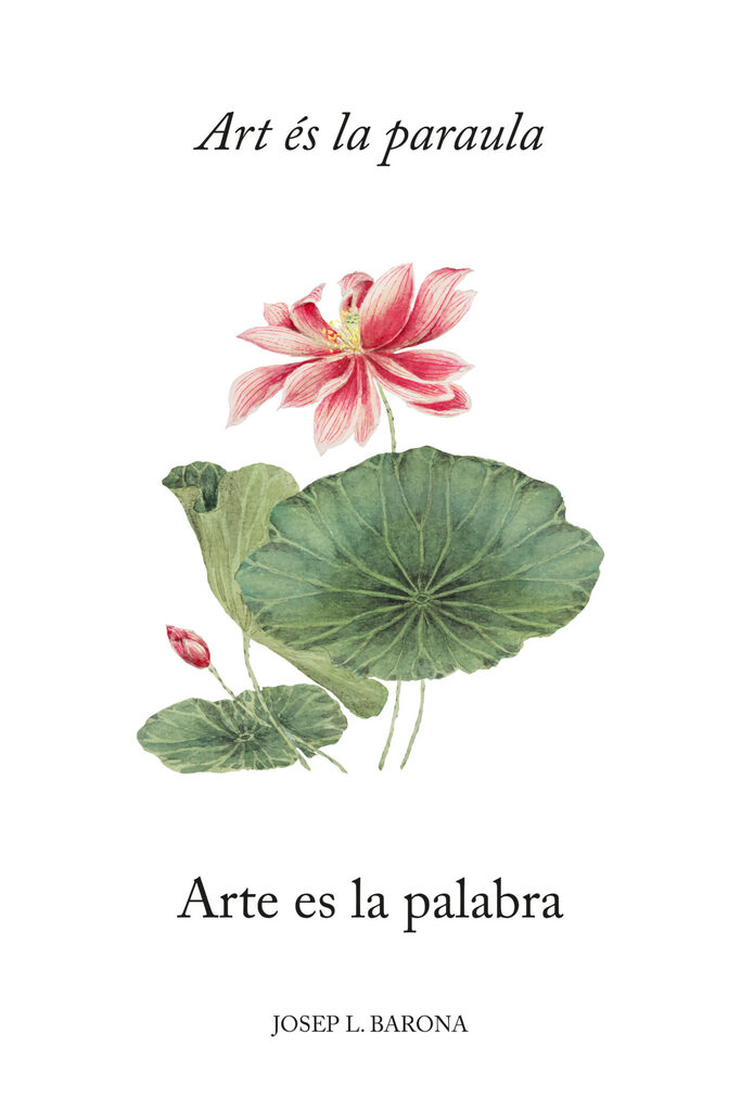 Mirada al ayer
