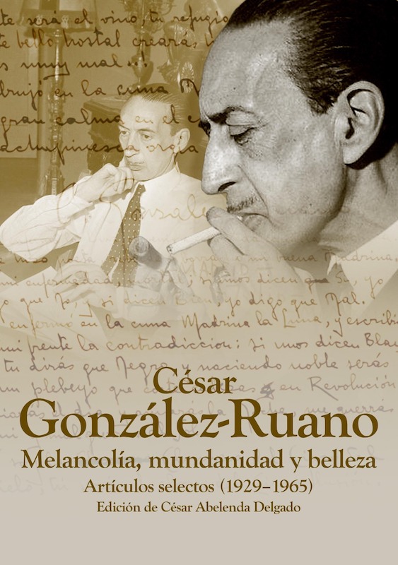 Apuntes para una historia del Quijote.