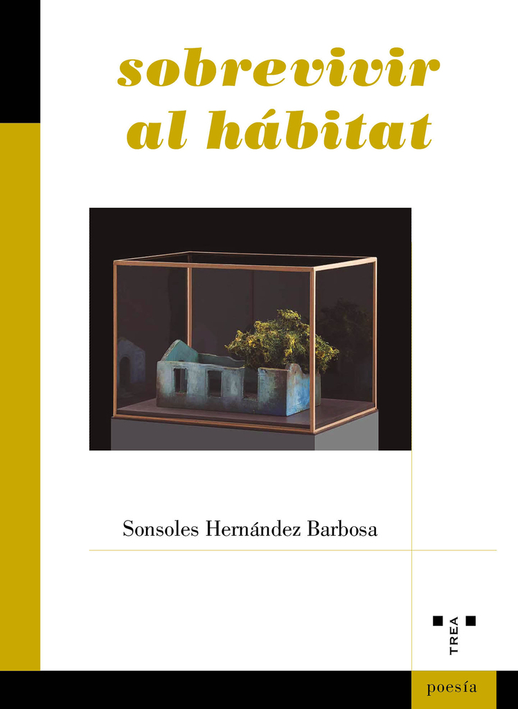 Meditación del alfarero